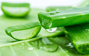 Hydrating Leave In Conditioner for Fine-Medium/Low-Medium Density Strands